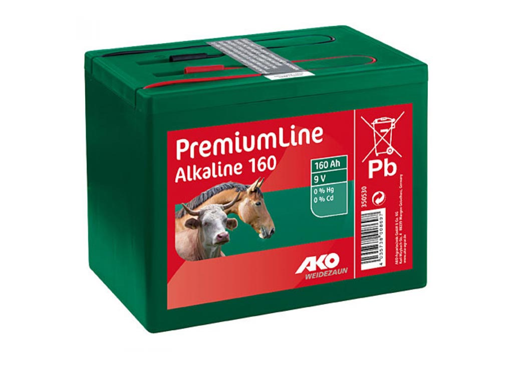 Alkaline 9 V Trockenbatterie