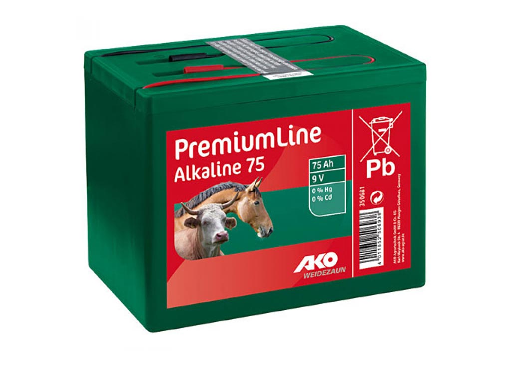 Alkaline 9 V Trockenbatterie