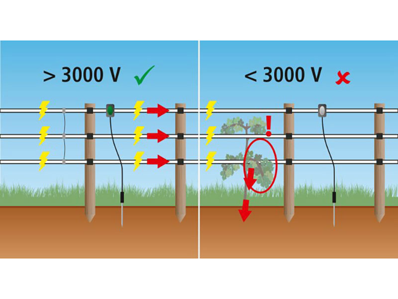 schematische Darstellung Weidezaun
