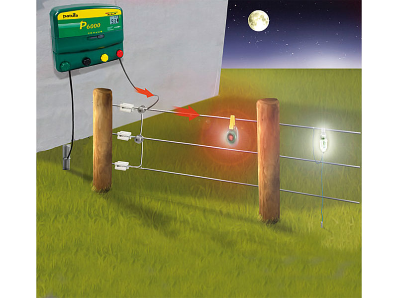 Darstellung eines Weidezauns mit Zaun-Alarm